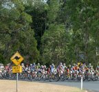 Золотое наступление компании «Rubena» на австралийских велогонках "Crocodile Trophy 2012"